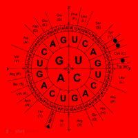 Genetic Code Biology Santa Hat thumb 1