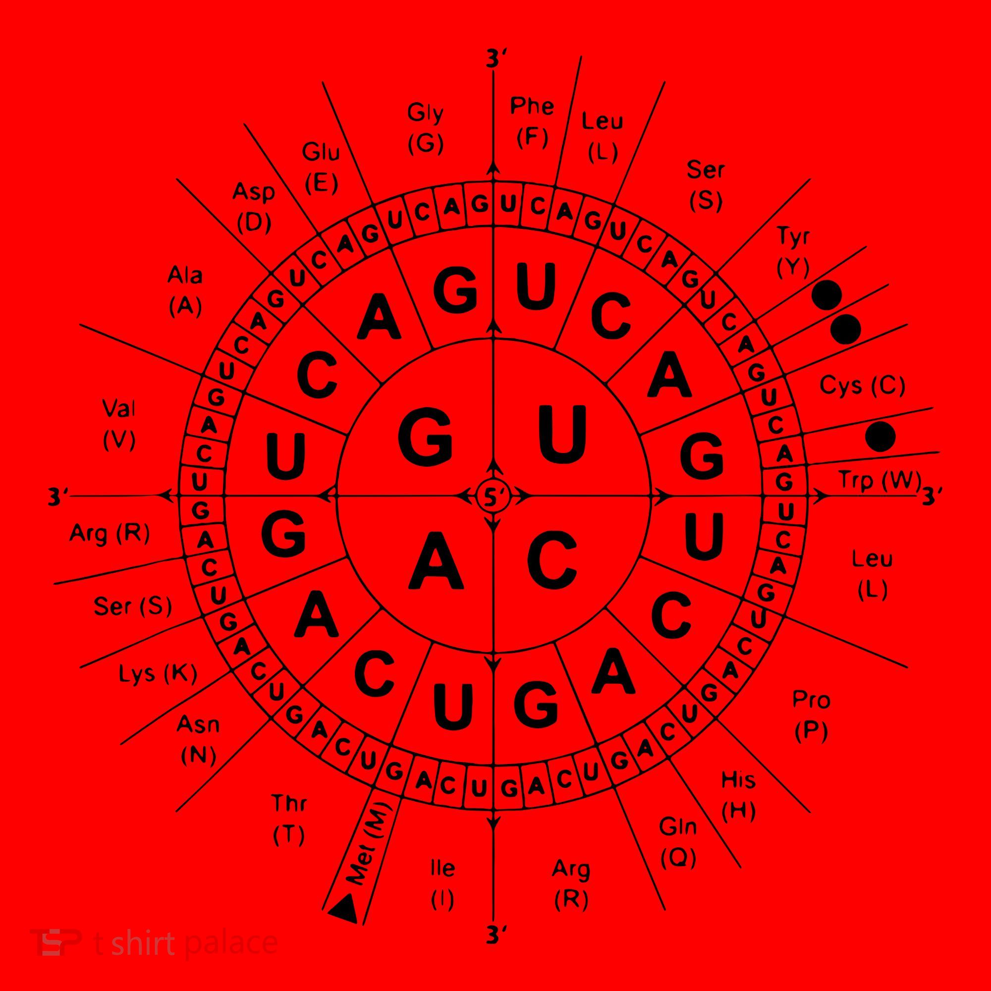 Genetic Code Biology Santa Hat