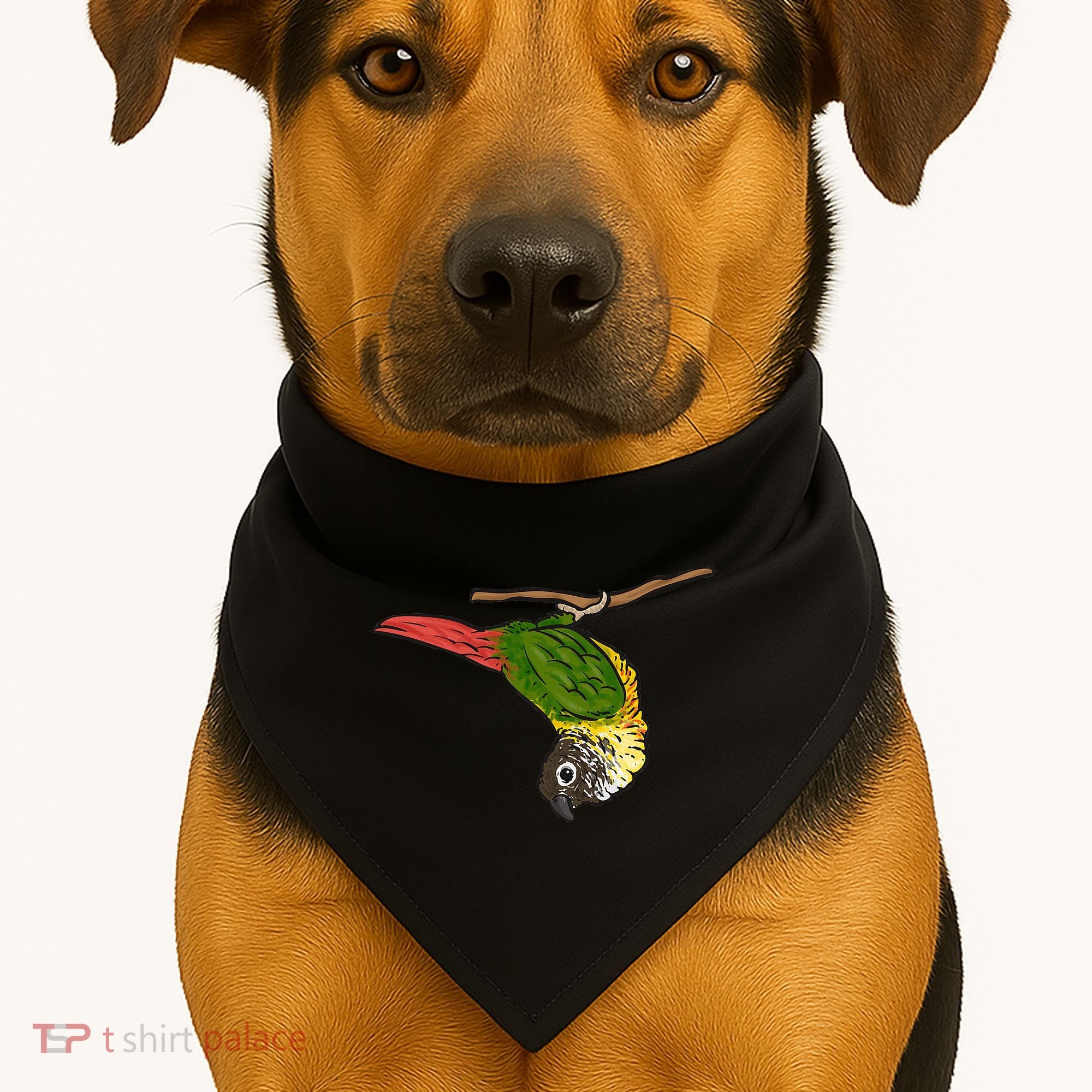 Green Cheek Conure Parrot Bird Conure USA-Made Doggie Bandana