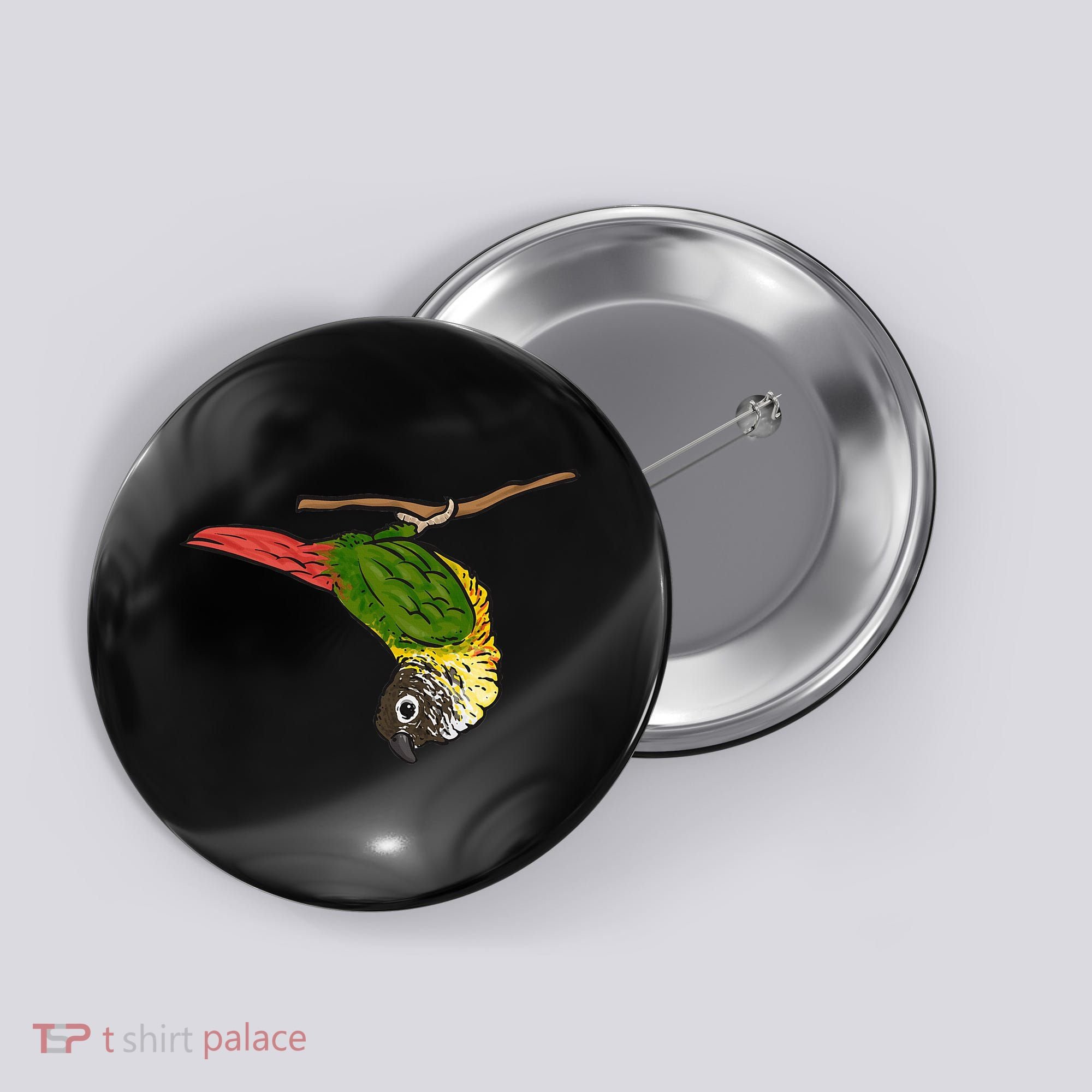 Green Cheek Conure Parrot Bird Conure Button