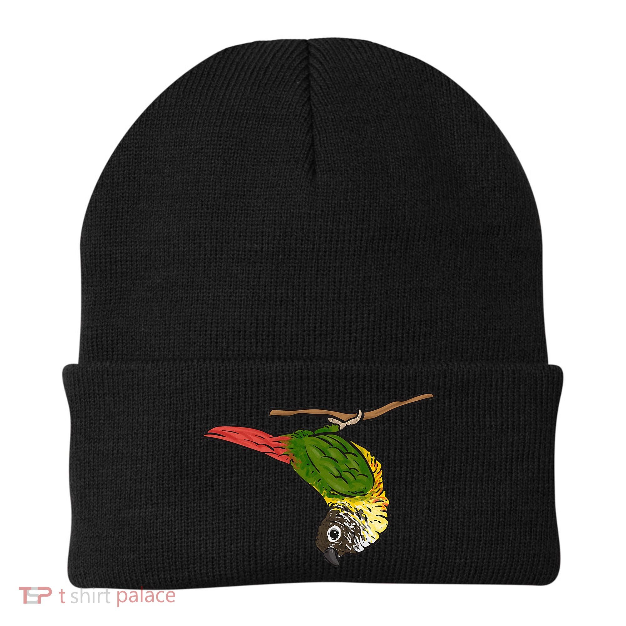 Green Cheek Conure Parrot Bird Conure Beanie