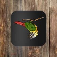 Green Cheek Conure Parrot Bird Conure Coaster thumb 0