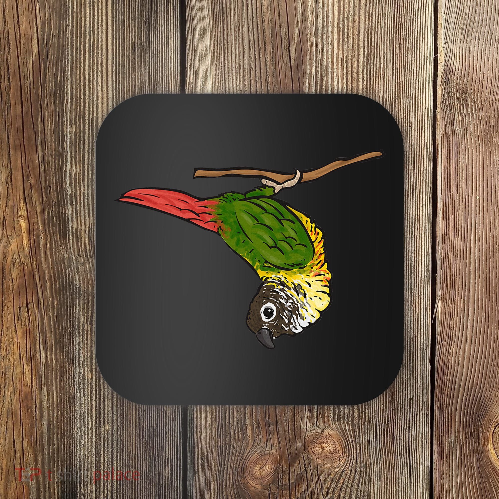 Green Cheek Conure Parrot Bird Conure Coaster