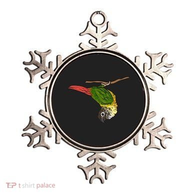 Green Cheek Conure Parrot Bird Conure Ornament