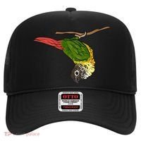 Green Cheek Conure Parrot Bird Conure Hat thumb 0