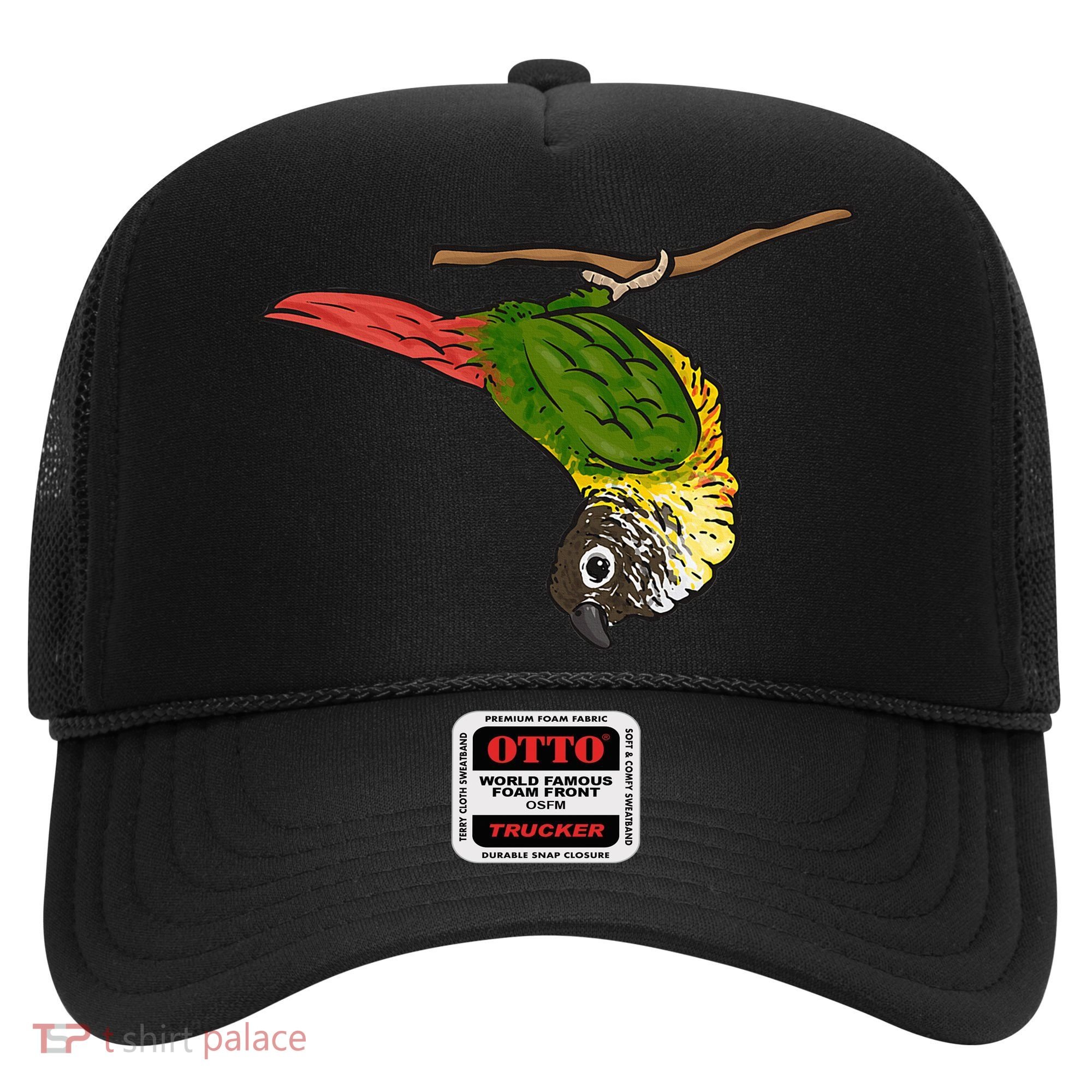 Green Cheek Conure Parrot Bird Conure Hat