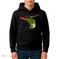 Green Cheek Conure Parrot Bird Conure Kids Hoodie thumb 4
