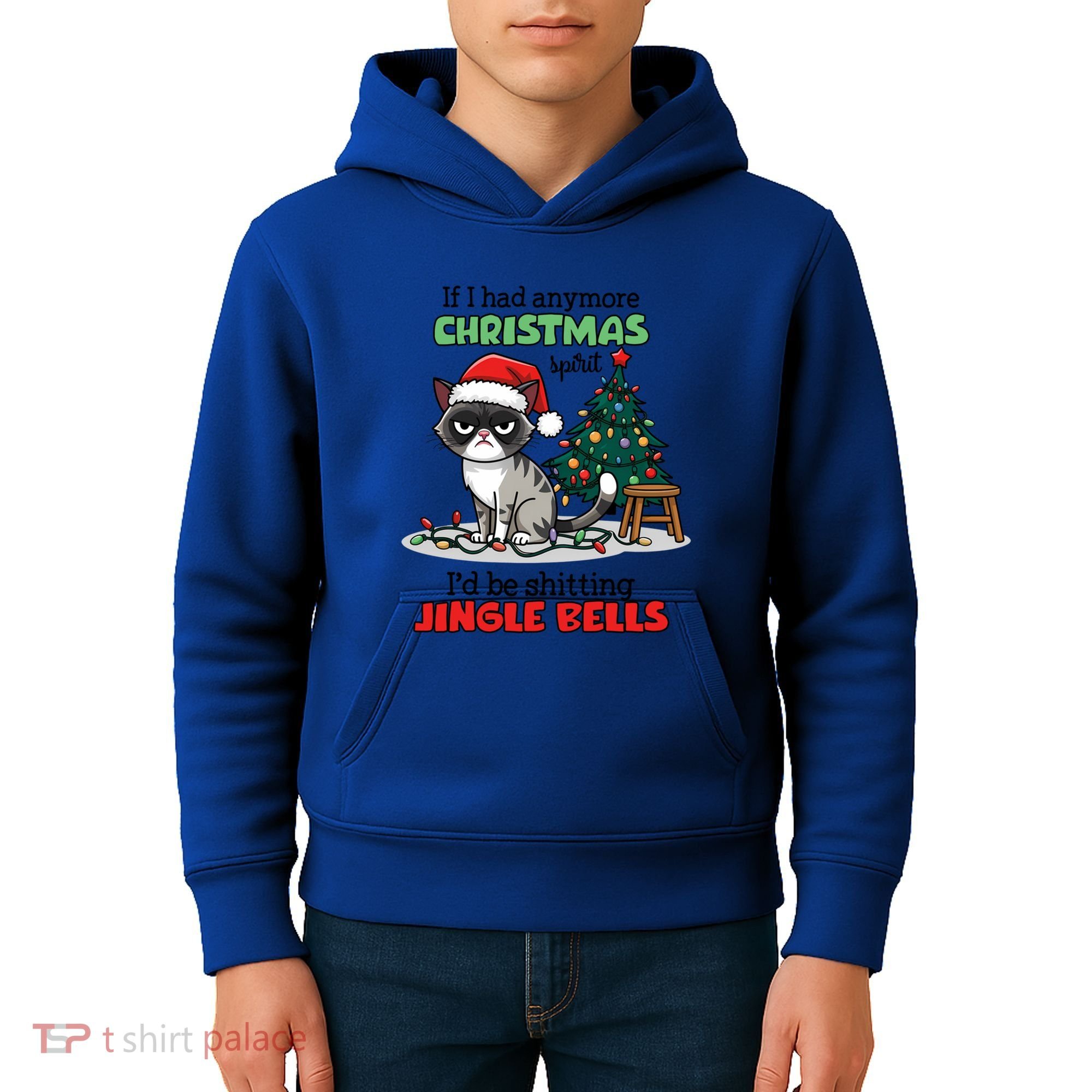 Grumpy Christmas Cat Christmas Jingle Bells Holiday Gift Kids Hoodie