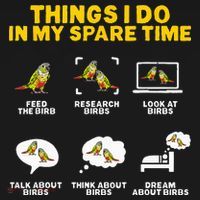 Green Cheek Conure Things I Do In My Spare Time Bird Conure Ornament thumb 1