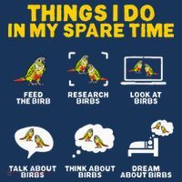 Green Cheek Conure Things I Do In My Spare Time Bird Conure Women's Tank Top thumb 5