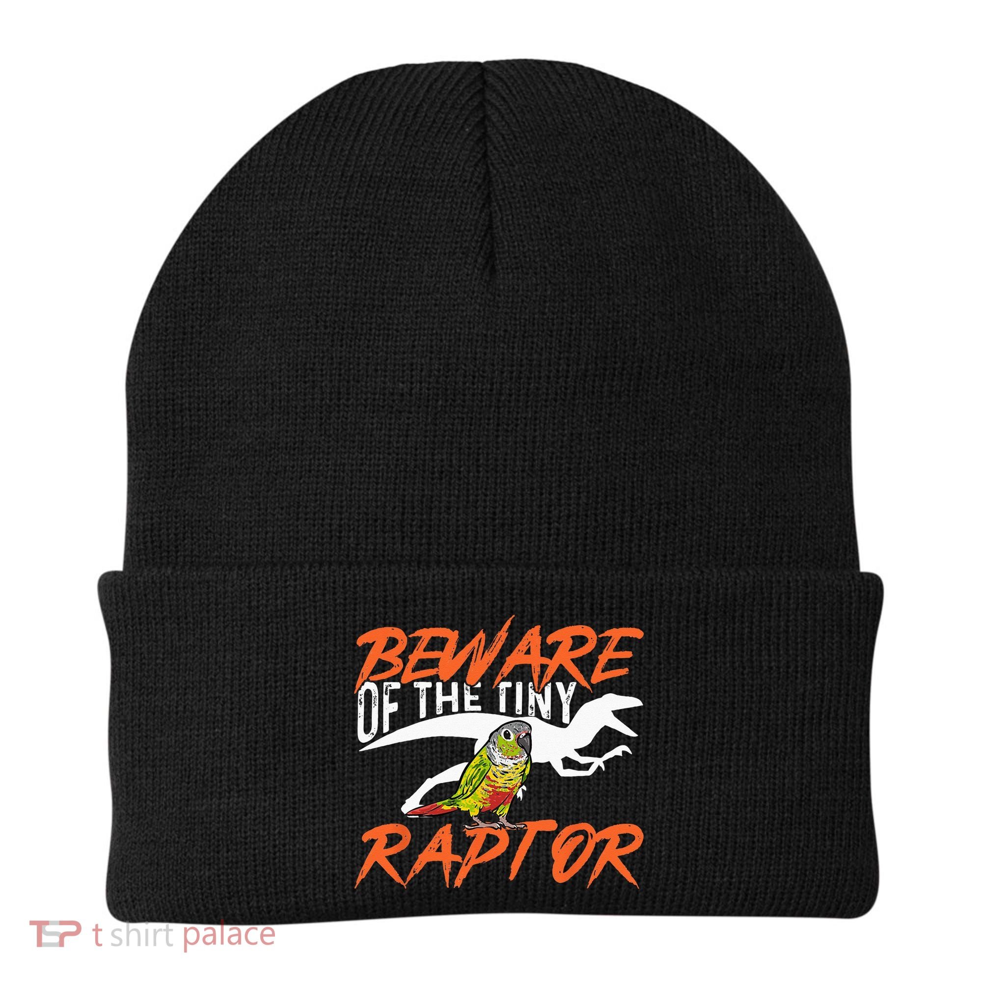 Green Cheek Conure Beware Of The Tiny Raptor Bird Conure Beanie