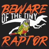 Green Cheek Conure Beware Of The Tiny Raptor Bird Conure Beanie thumb 2
