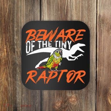 Green Cheek Conure Beware Of The Tiny Raptor Bird Conure Coaster