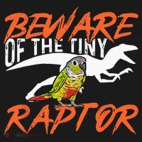 Green Cheek Conure Beware Of The Tiny Raptor Bird Conure Women's Hoodie thumb 2