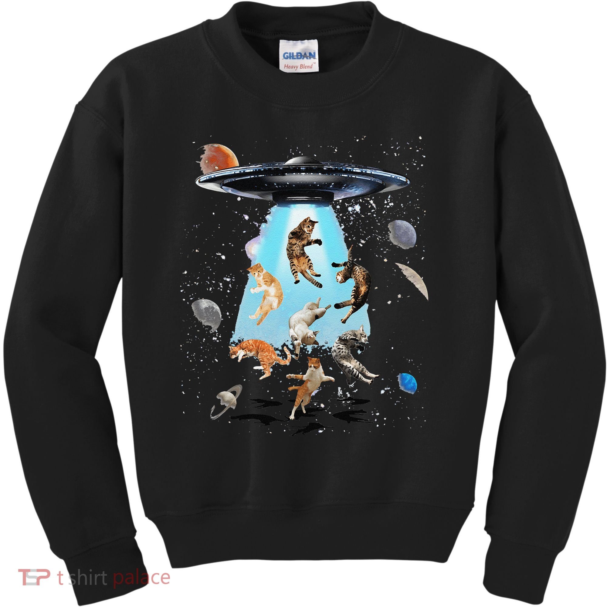 Galaxy Cat Cat UFO Funny Cat Cat Graphic Cat Owner Kids Sweatshirt