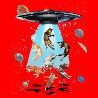 Galaxy Cat Cat UFO Funny Cat Cat Graphic Cat Owner Santa Hat thumb 1