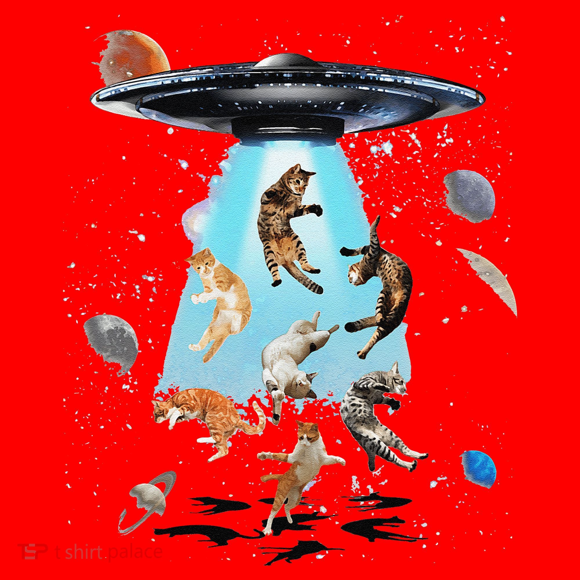 Galaxy Cat Cat UFO Funny Cat Cat Graphic Cat Owner Santa Hat