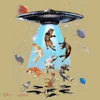 Galaxy Cat Cat UFO Funny Cat Cat Graphic Cat Owner T-Shirt thumb 7