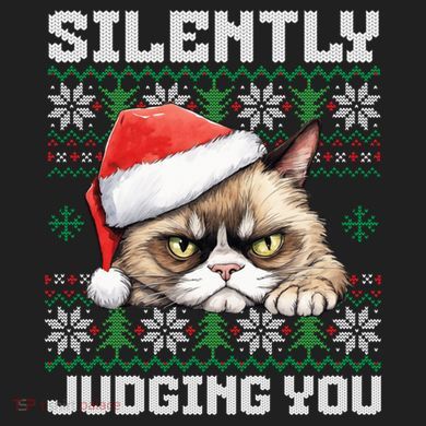 Grumpy Christmas Cat Ugly Silently Judging You Cat Gift Comfort Colors Boxy T-Shirt