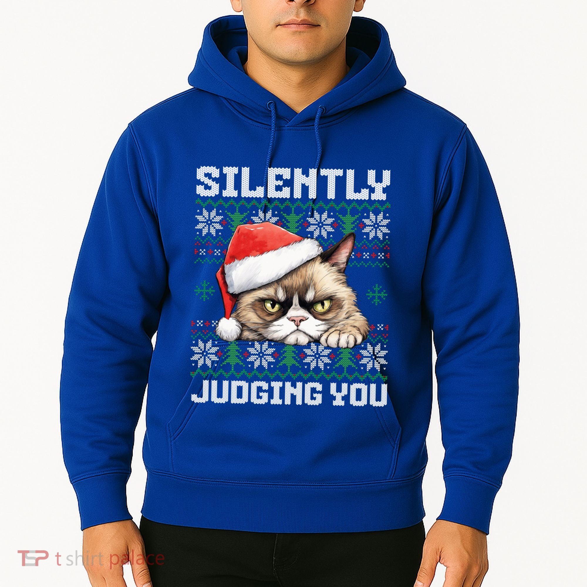 Grumpy Christmas Cat Ugly Silently Judging You Cat Gift Hoodie