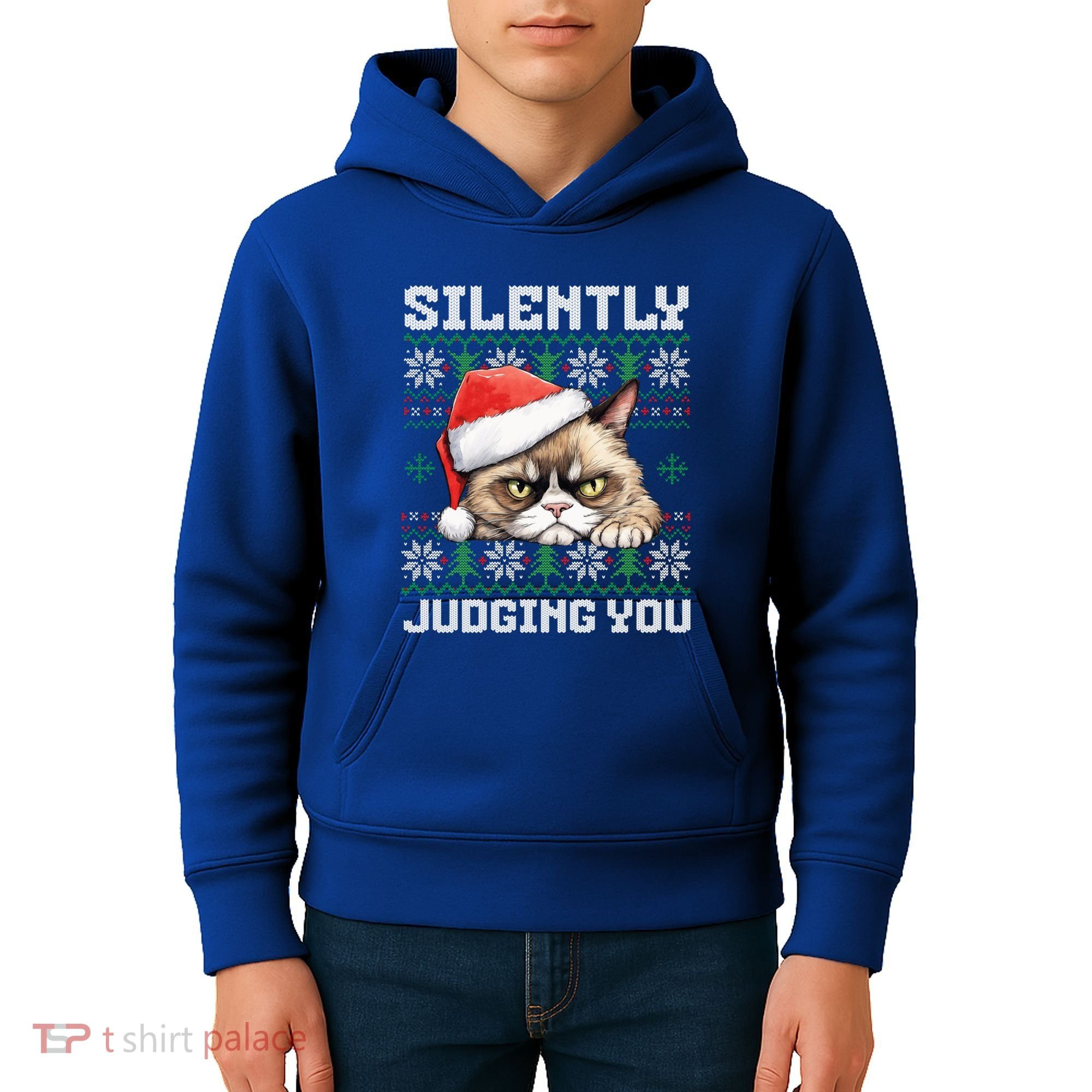 Grumpy Christmas Cat Ugly Silently Judging You Cat Gift Kids Hoodie