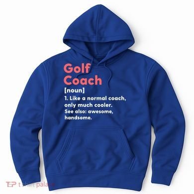 Golf Coach Definition Funny Trainer Gift Present Gift Hoodie