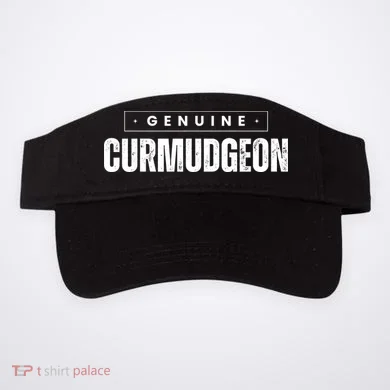 Visor