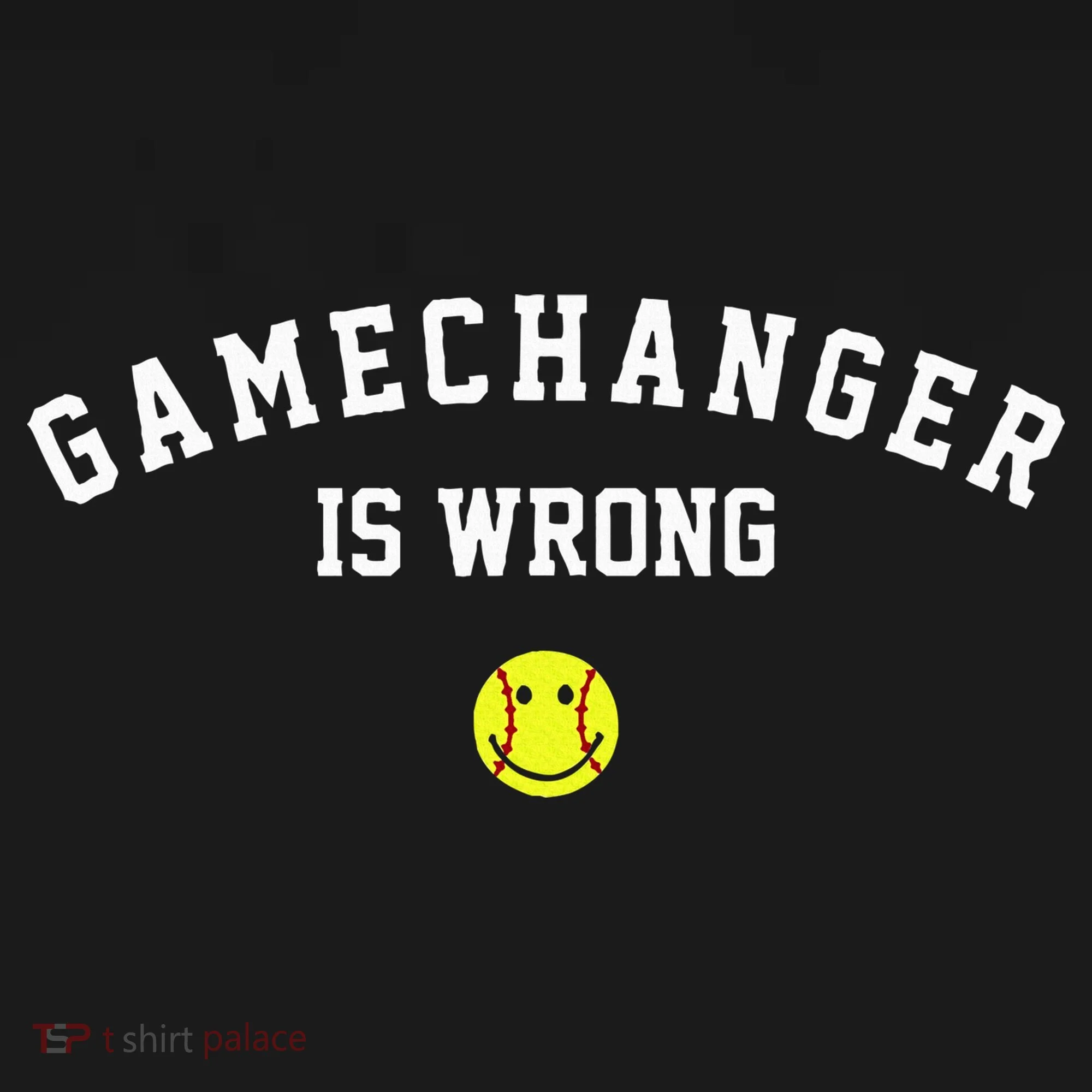 Game Changer Is Wrong Hoodie