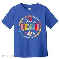 Groovy Choose Kindness Daisy Be Kind Inspirational Gift Toddler T-Shirt thumb 0
