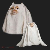 Ghost Cat Meme Funny Halloween Beanie thumb 2