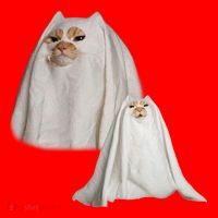 Ghost Cat Meme Funny Halloween Santa Hat thumb 1