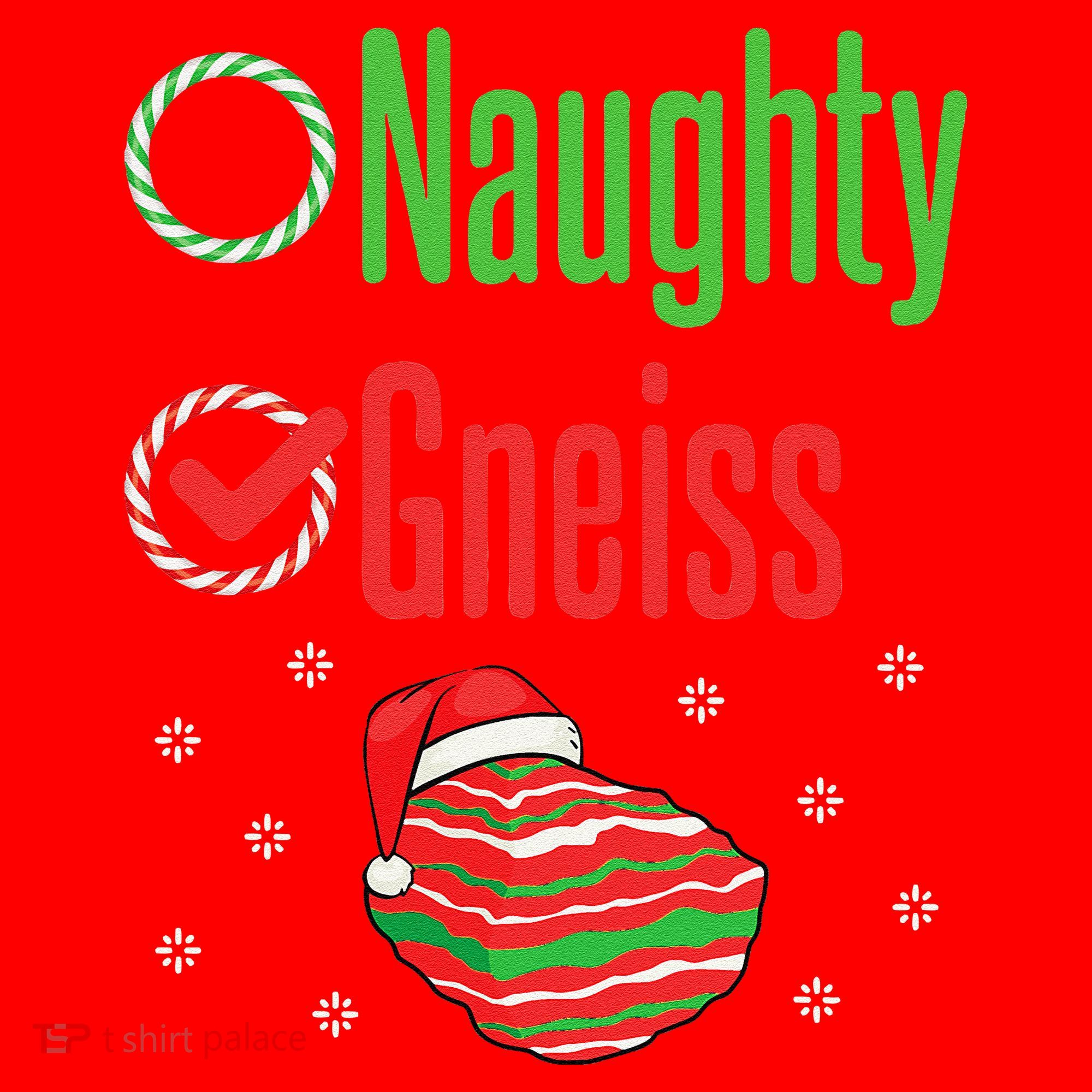 Geology Christmas Naughty Gneiss Rock Collector Santa Hat