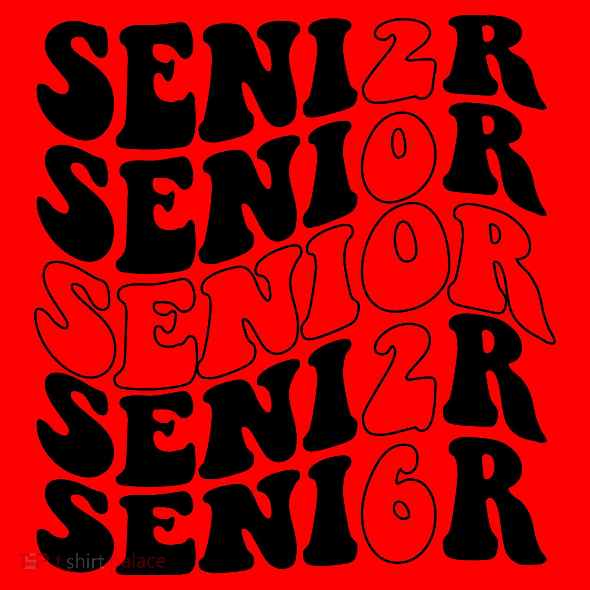 Graduation Class Of 2026 Seniors Santa Hat
