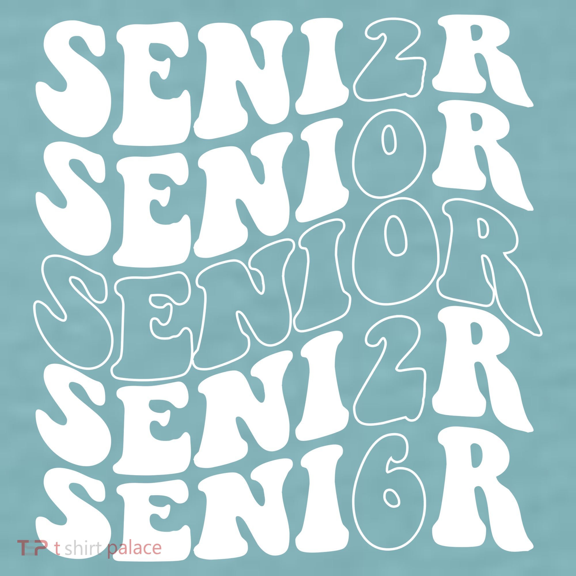 Graduation Class Of 2026 Seniors Sueded Cloud Jersey T-Shirt