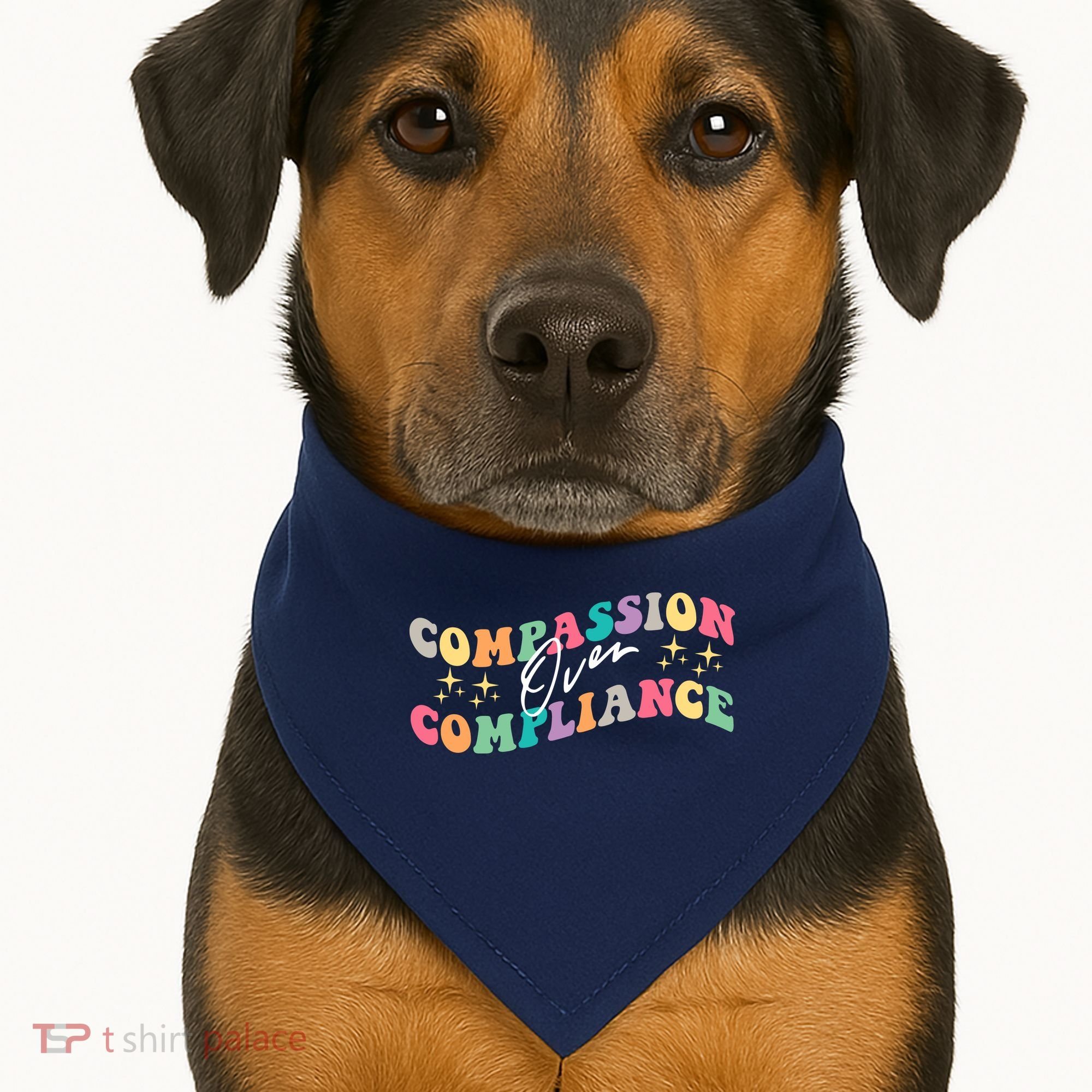 Groovy Compassion Over Compliance ABA Therapy BCBA Therapist USA-Made Doggie Bandana