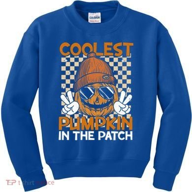 Groovy Coolest Pumpkin In The Patch Halloween Gift Kids Sweatshirt
