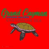Grand Cayman Sea Turtles Santa Hat thumb 1