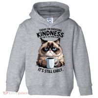Grumpy Cat With Coffee Funny Meme Quote Toddler Hoodie thumb 0
