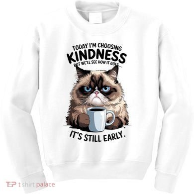 Grumpy Cat With Coffee Funny Meme Quote Kids Sweatshirt
