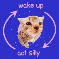 Girl Cats Wake Up Act Silly Cat Meme Certified Freak Sweatshirt thumb 3