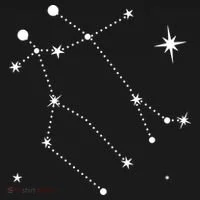 Gemini Constellation Zodiac Doggie Tank thumb 4