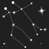 Gemini Constellation Zodiac Tumbler thumb 3