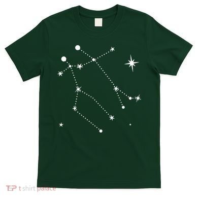 Gemini Constellation Zodiac T-Shirt