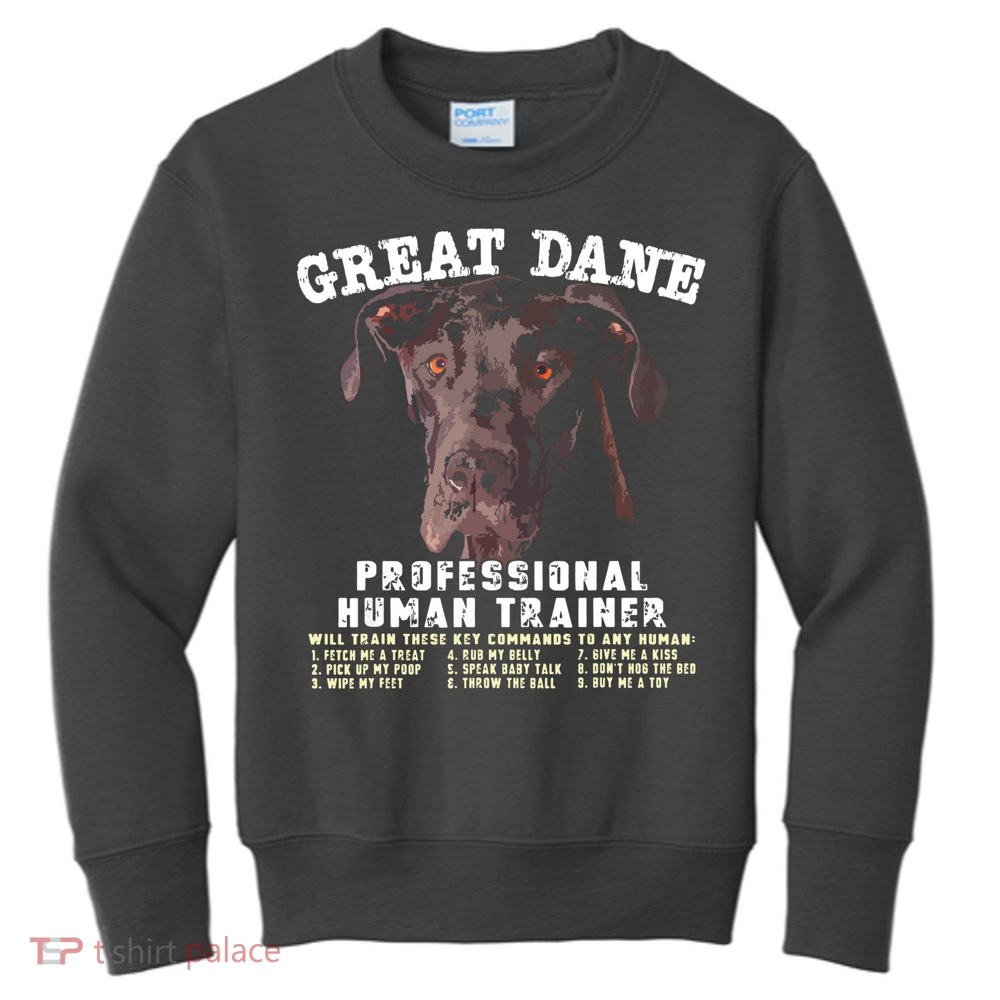Great Dane Black Professional Human Trainer Kids Sweatshirt