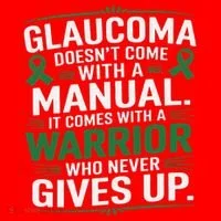 Glaucoma DoesnT Come With A Manual It Comes With A Warrior Santa Hat thumb 1