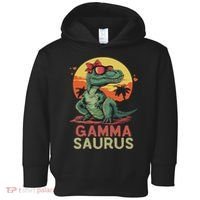 Gammasaurus Dino Dinosaur Gamma Saurus T Rex Funny Trex Toddler Hoodie thumb 0