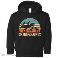 Grandpa Dinosaur Dad Gift Funny Grandpasaurus 4 Four Toddler Hoodie thumb 0