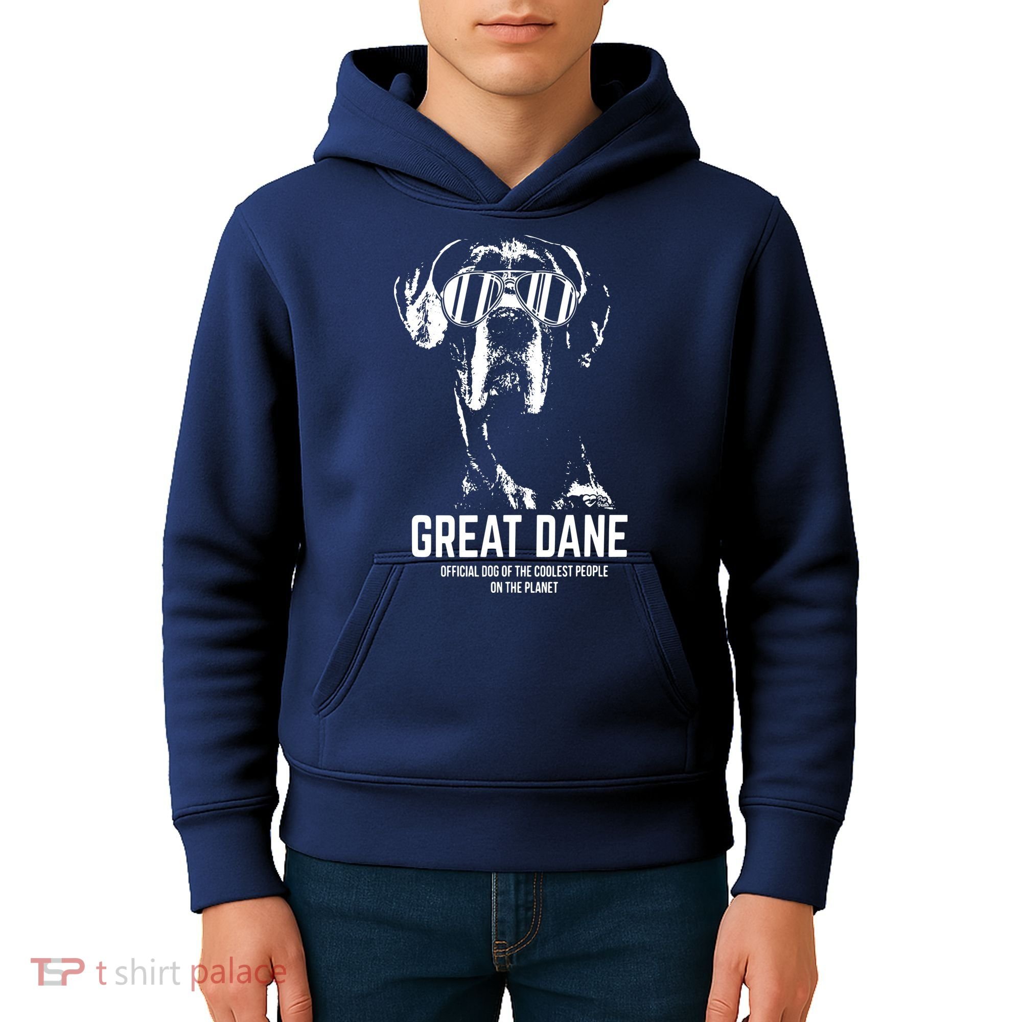 Great Dane Dog Of The Coolest Pup Lovers Kids Hoodie