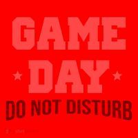Game Day Do Not Disturb Santa Hat thumb 1