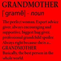 Grandmother Definition Funny Grandma Santa Hat thumb 1